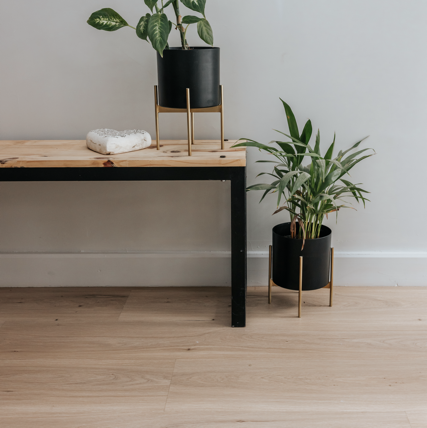 Aurora II- Glue Down LVT- Celeste - Inovar