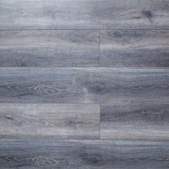 Black Forest Silver Elm Black Forest Silver Elm