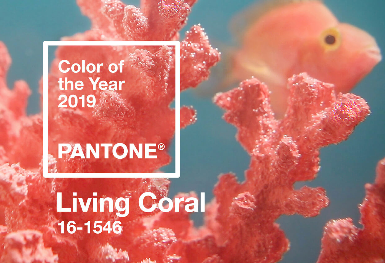 Coral pantone colour of the year